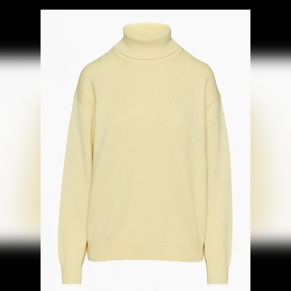 Aritzia Wilfred Free Treasures Turtleneck - Picture 8 of 10